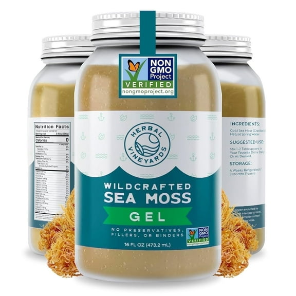 Herbal Vineyards Gold Raw Sea Moss Gel Non-GMO, Pack of 1, 16oz