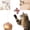 Coffee, variant on Cat Toy Electric Rotating Butterfly Teaser with Interactive Motion, Electronic Pet Play Toy for Indoor Cats, Self-Play Chase Exercise Toy for Bored Kittens and Cats Beige