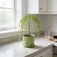 thumbnail image 6 of Geometric Planter Pot With Tray Small Indoor Plant Pots Modern Decorative Flower Pot For Succu*lents Cactus Herbs Green Plants Home Office Desk Window Sill Garden Decor, 6 of 6