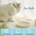 thumbnail image 5 of Cat Feeder, Pet Slow Feeder Bowl, Fish Pool Design, Healthy Eating Diet, Interactive Cat Food Bowl, Dishwasher Safe, 5 of 7