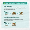 thumbnail image 3 of Back to the Roots Organic Perlite for Garden Soil, 8 qt, 3 of 12