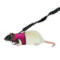 thumbnail image 5 of Kaytee Comfort Walking Harness and Stretch Leash, Harness for Ferrets & Small Animals, 5 of 5