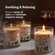 thumbnail image 4 of Magn&#2013265933fico juego de 3 velas 101 Sage Plus (salvia pura), 4 of 6