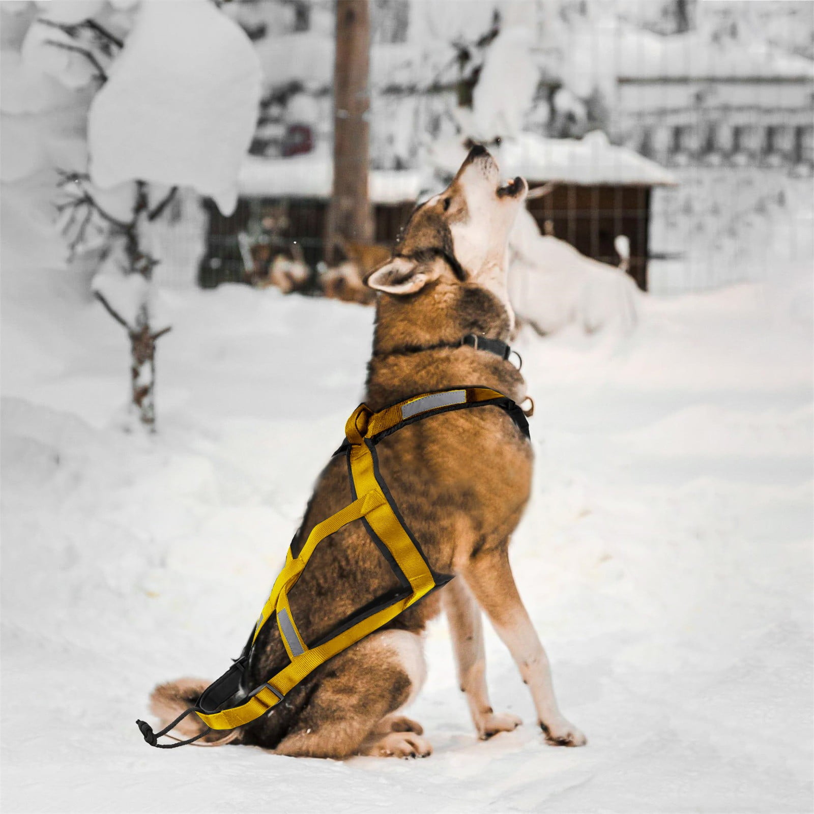 Dog Pulling Harness, Adjustable Sled Dog Harness for Large Breeds, Ideal for Running, Biking, Skiing, and Joring Sports