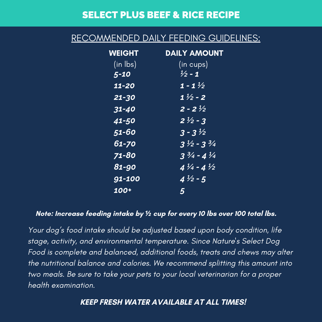 Nature's Select Plus - Beef & Rice Recipe, Dry Dog Food for Adults