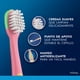 thumbnail image 2 of Cepillo de Dientes para Bebé Oral-B Stages Disney 1 pza, 2 of 5