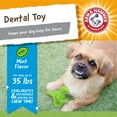 thumbnail image 2 of Arm & Hammer Denta-Saurus T-Rex Dental Chew Toy for Dogs in Mint Flavor, 2 of 14