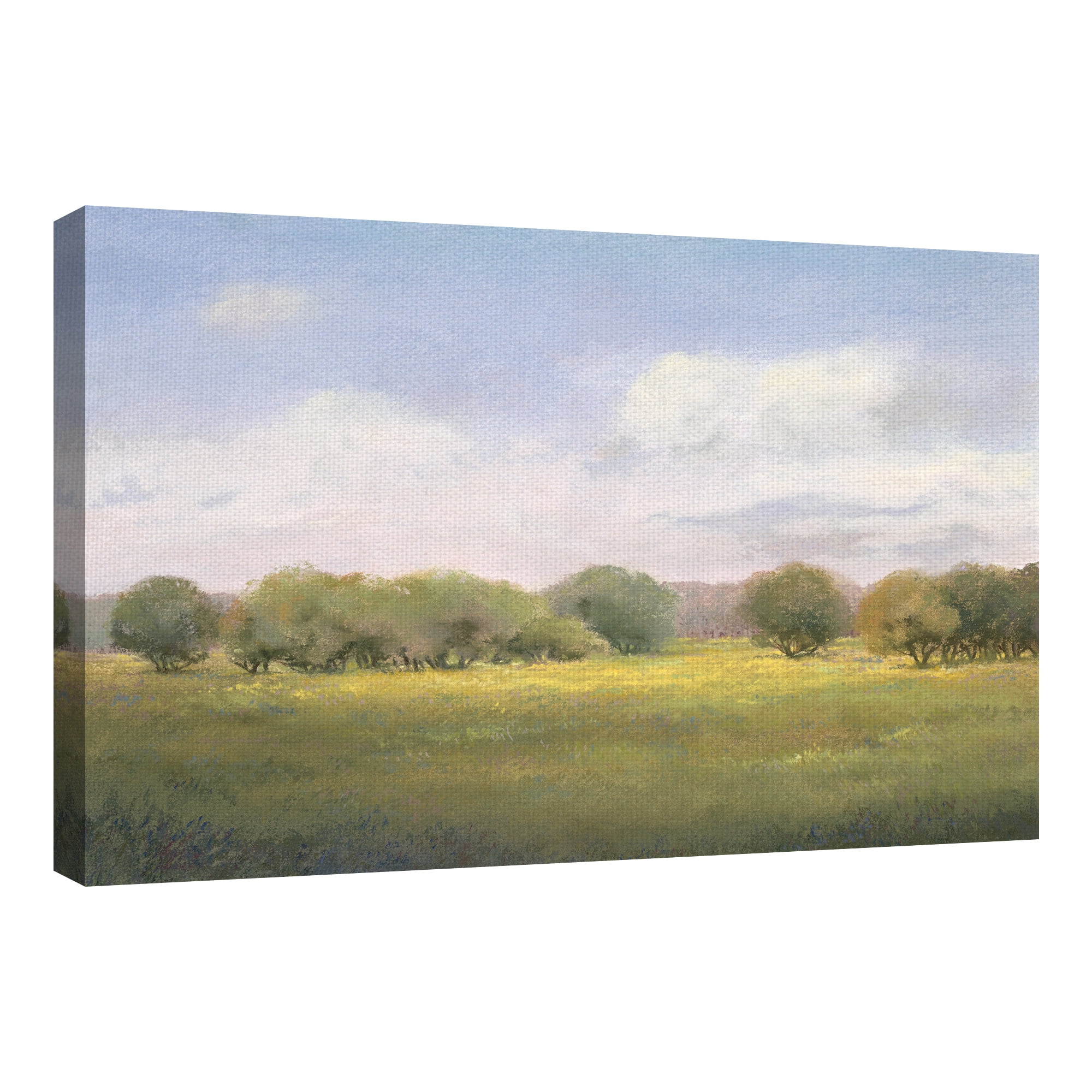 Masterpiece Art Gallery The Land At Peace Summertime Meadow By Teri Jonas Canvas Art Print 24" x 36"