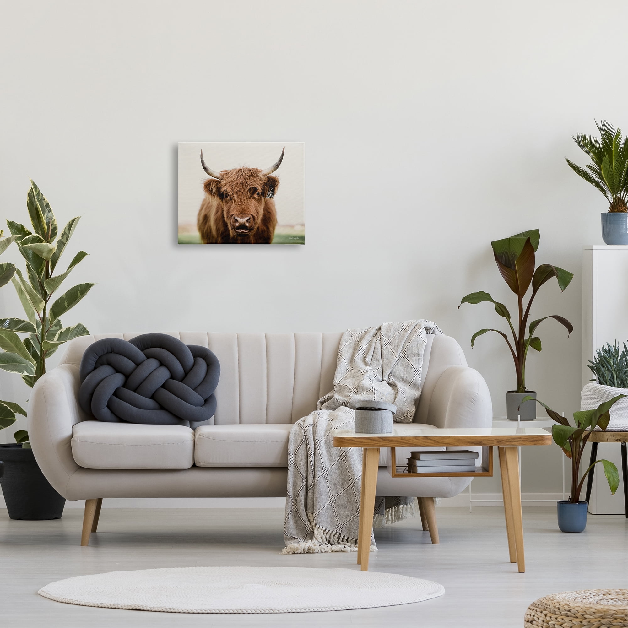 Stupell Industries Farmhouse Cattle Photography Animals & Insects Photography Gallery Wrapped Canvas Print Wall Art, 20 x 16