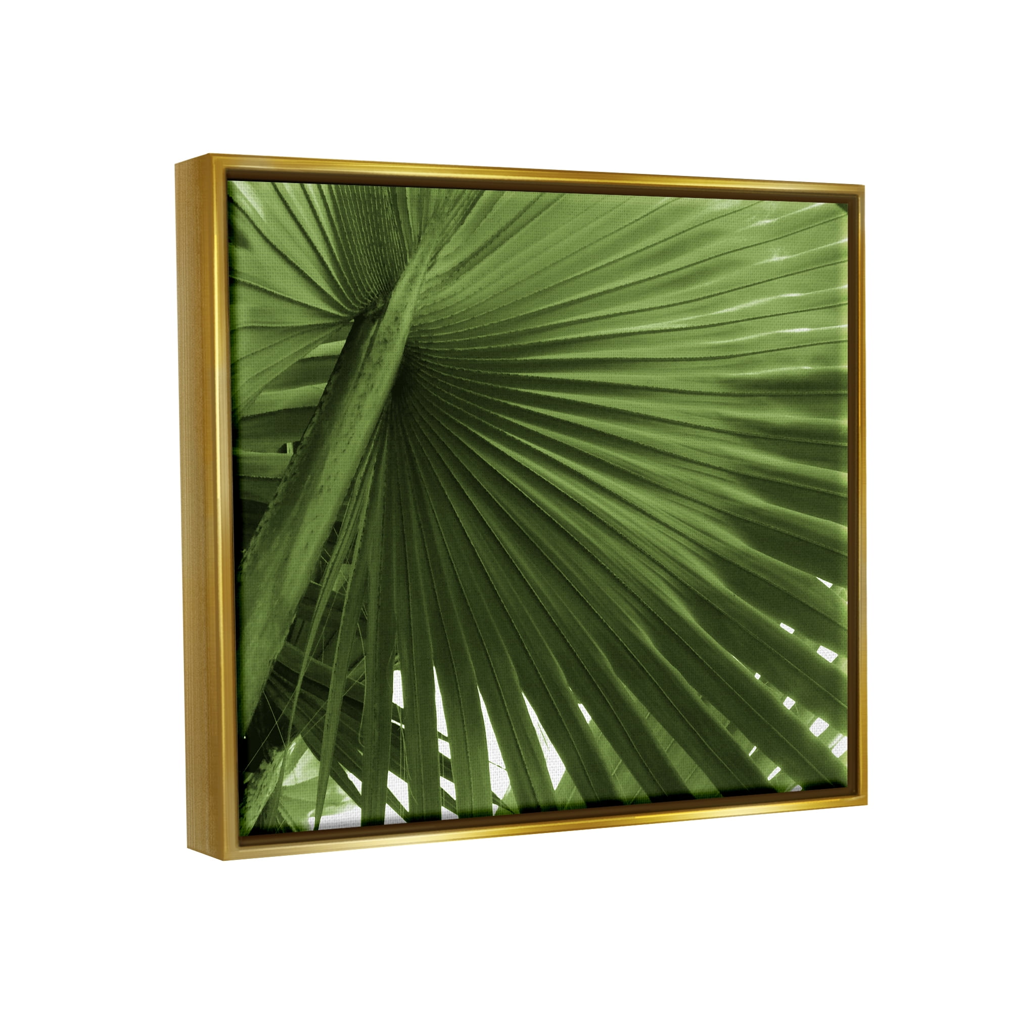 Stupell Industries Green Tropical Leaf Botanical & Floral Photography Gold Floater Framed Art Print Wall Art, 31 x 25