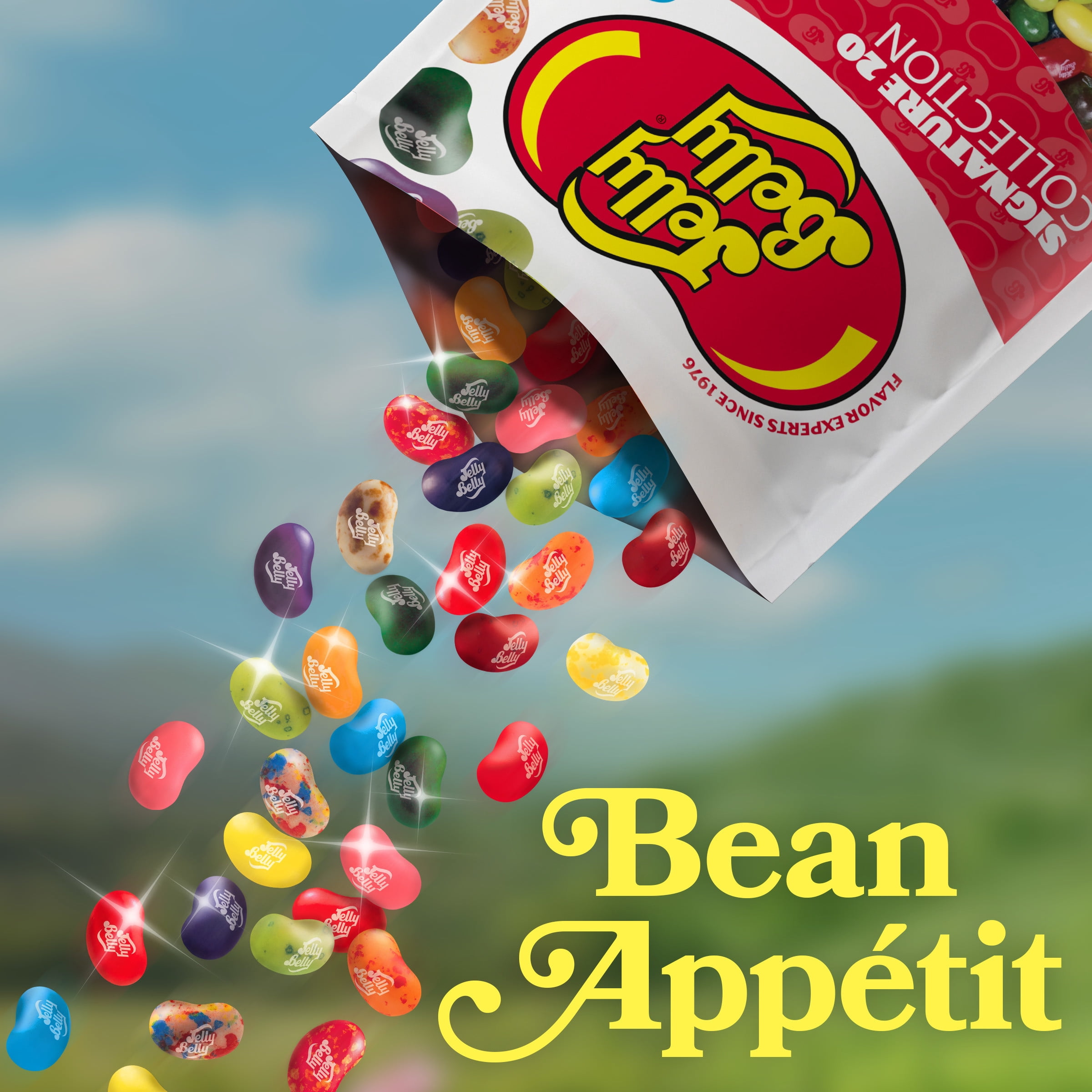 Jelly Belly Signature 20 Jelly Bean Collection - 6 oz Peg Bag, 12-Count Case - Genuine, Official, Straight from the Source