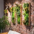 thumbnail image 6 of Artificial Faux Plant Succulent Wall Art, 6 of 8