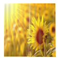 thumbnail image 4 of Cortina de Ventana de Impresión 3D de 2 Paneles Puede para Decoración Girasol Gloria Cortina de poliéster, 4 of 8