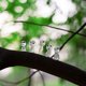 thumbnail image 3 of Bewildely 6 Pieces Specter Miniature Ornaments Luminous Car Decor Alien Room Yard Glowing Statue Landscape Garden Halloween Decoración, 3 of 6