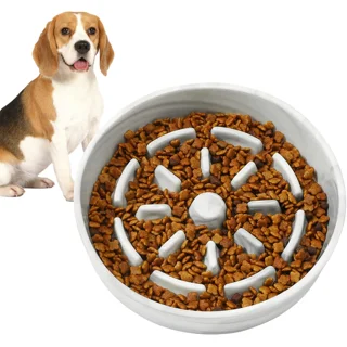 1PC Large Slow Feeder Dog Bowl,Maze Interactive Dog Food Bowl,Anti Gulping  Healthy Eating,Stop Bloat Pet Slow Down Feeding Dishes for Medium/Big Dogs