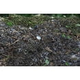 thumbnail image 4 of Good Ideas Compost Wizard Thermometer, Stainless Steel, 4 of 6
