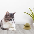 thumbnail image 3 of EHJRE 5xFun Cat Catnip Lick Ball Healthy Ball Solid Adhesive Treats 5 Pcs, 3 of 8