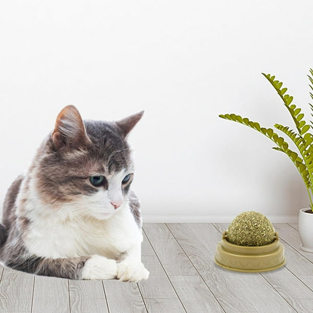 Pelotas de hierba gatera, juguete giratori , juguetes para , de mordedura de gato, de pared comestible de hierba gatera para Colco Juguetes de pared de hierba gatera
