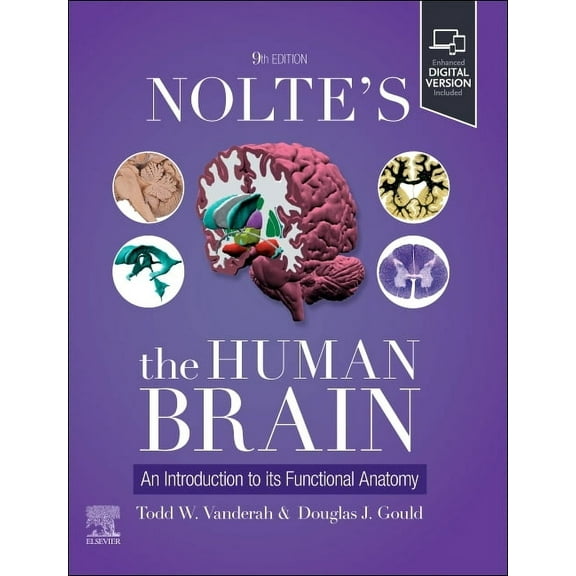 Nolte's the Human Brain: An Introduction to Its Functional Anatomy, (Paperback)