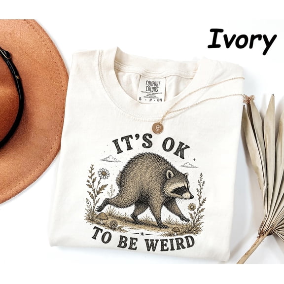 RosaWear Jimothy Raccoon It's Ok To Be Weird Funny Garment-Dyed Tee