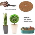 thumbnail image 3 of 4 Pcs Tapis en Fibre de Coco pour Plantes, Disque de Protection pour Plantes, Tapis de Coco Paillis Disque Pot Tapis de Protection pour Plantes pour Maison Hôtel Jardin (30 cm), 3 of 5