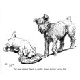 thumbnail image 2 of Illustration Of A Sealyham Terrier Puppy By Cecil Aldin Poster Print By Mary Evans Picture Library, 2 of 4