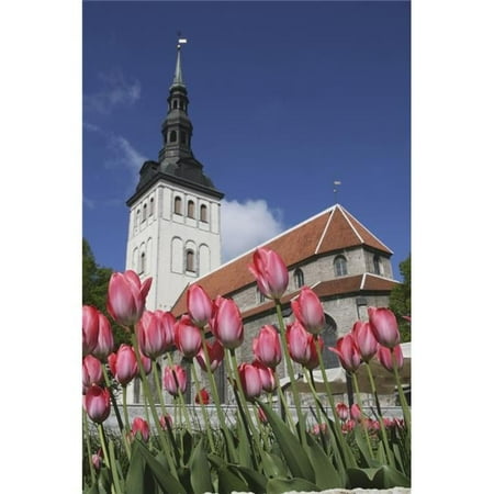 Tulips Outside Niguliste Church - Tallinn - Estonia Poster Print - 11 x 17