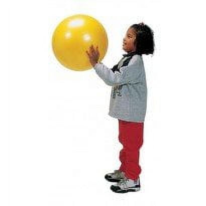 Gymnic / Classic Fitness Ball
