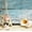 Boardwalk Seashells, variant on Elephant Stock Beach Scallop Shell Wall Art - Horizontal Canvas Wall Art - Kids Room Wall Decor - Nautical Canvas - Beige And Brown Decor - 48" x 32"