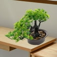 thumbnail image 4 of OULII Compact Faux Bonsai with Pot for Desk Aesthetic Appeal Multi, 4 of 7