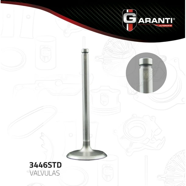 Valvula Admision Garanti Para Oldsmobile Silhouette 1998 - 2004 (Garanti)