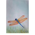thumbnail image 1 of Serviette d'Invité Ambre & Libellule Bleue de 20 x 20 Po, 1 of 1