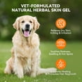 thumbnail image 2 of Gel para la piel a base de hierbas para el cuidado de heridas en perros PUAINTA cura las heridas, 60, 2 of 9