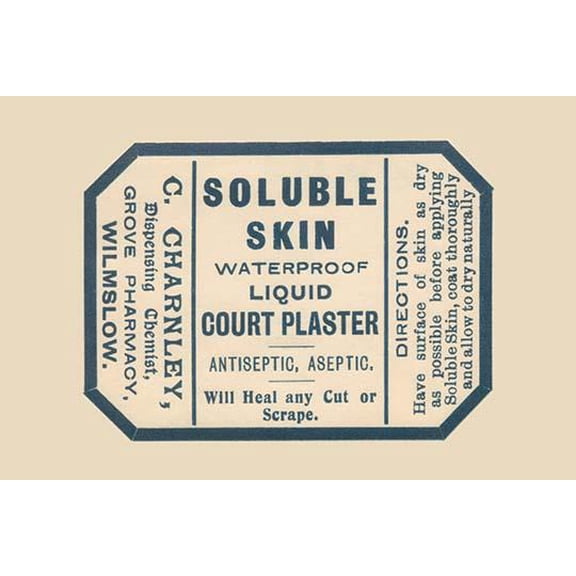 Soluble Skin Court Plaster-Fine Art Canvas Print (20" x 30")