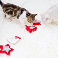 thumbnail image 1 of facefd Christmas Cat Toys Set Funny Cat Toy Catnip Bag Motion Training Molar Interactive Toy, 1 of 8