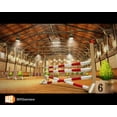 thumbnail image 4 of Pre-Owned My Horse and Me - Nintendo Wii, 4 of 8