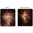 thumbnail image 2 of Revivogen PRO Thickening Conditioner,8 Fl Oz, 2 of 3