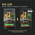 thumbnail image 6 of Purina Pro Plan Small Breed Dog Food, Shredded Blend Beef and Rice Formula with Guaranteed Live Probiotics, 18 lb Bag, 6 of 13