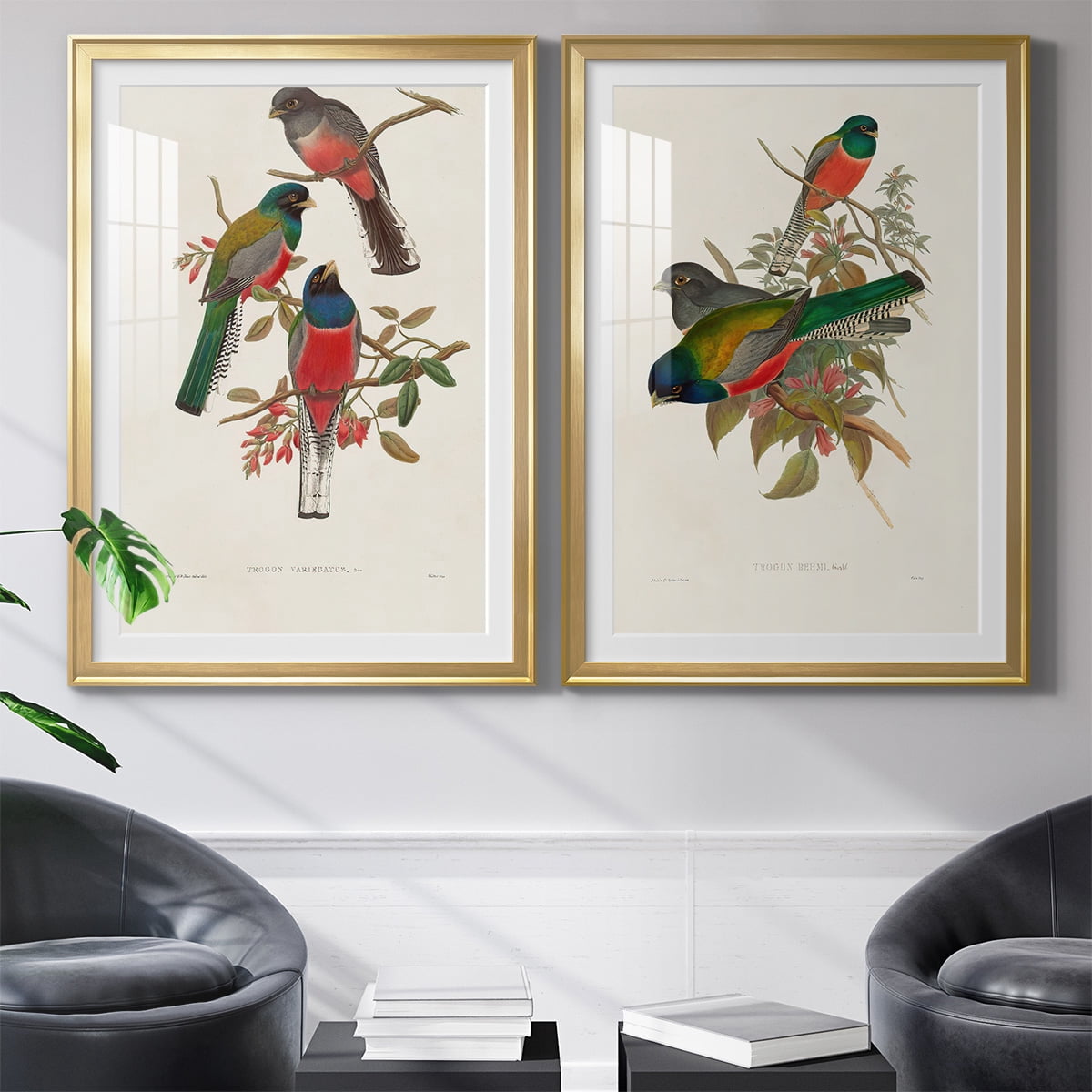 Wexford Home Elegant Trogons IX Premium Framed Print, 22.5" x 30.5" - Ready to Hang, Gold (Set of 2)