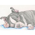 thumbnail image 2 of CafePress - Boston Terrier Puppy Dog Throw Blanket - Soft Fleece Throw Blanket, 50"x60" for All Ages, 2 of 4