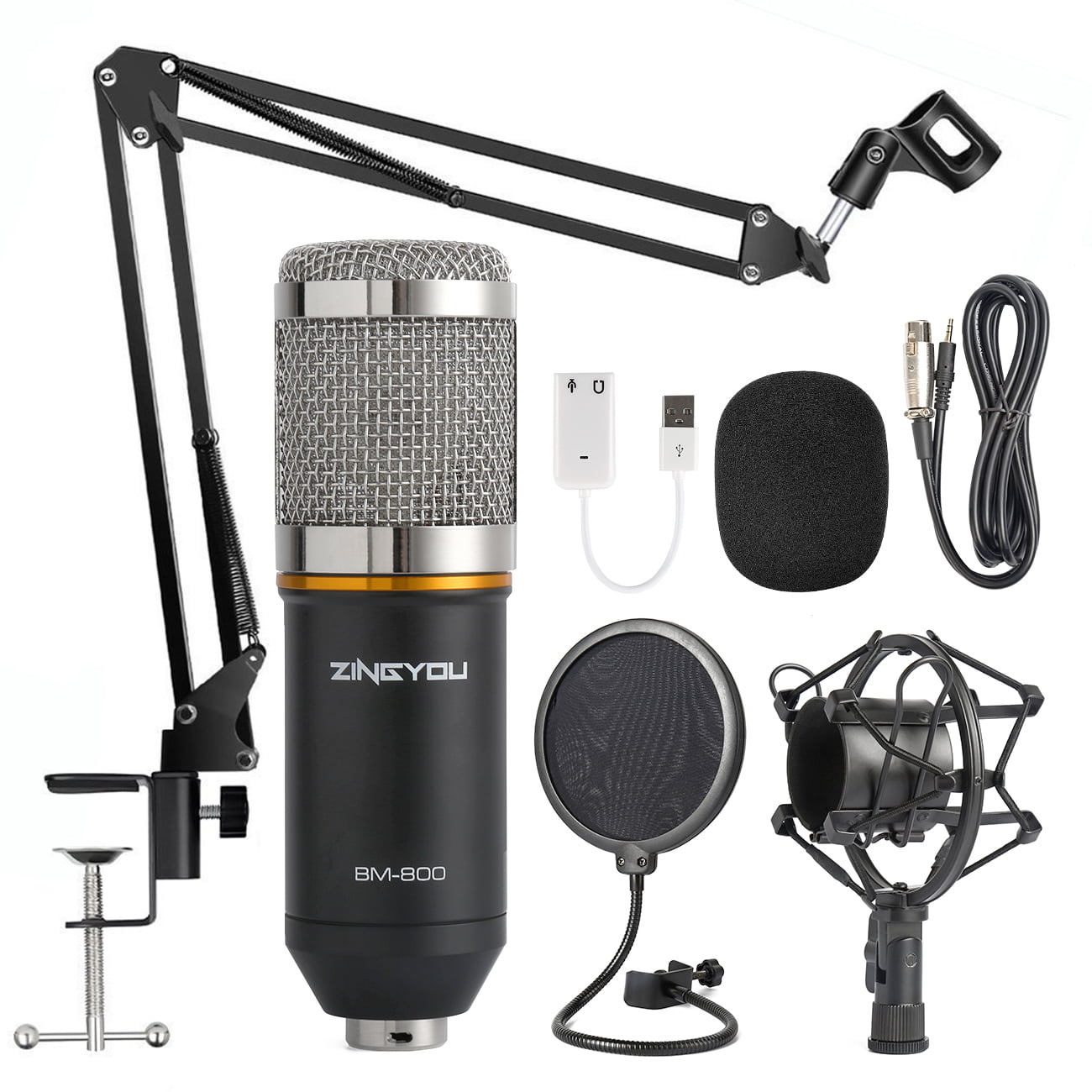 ZINGYOU BM-800 Condenser Microphone Bundle for Studio Recording &  Brocasting (Black)