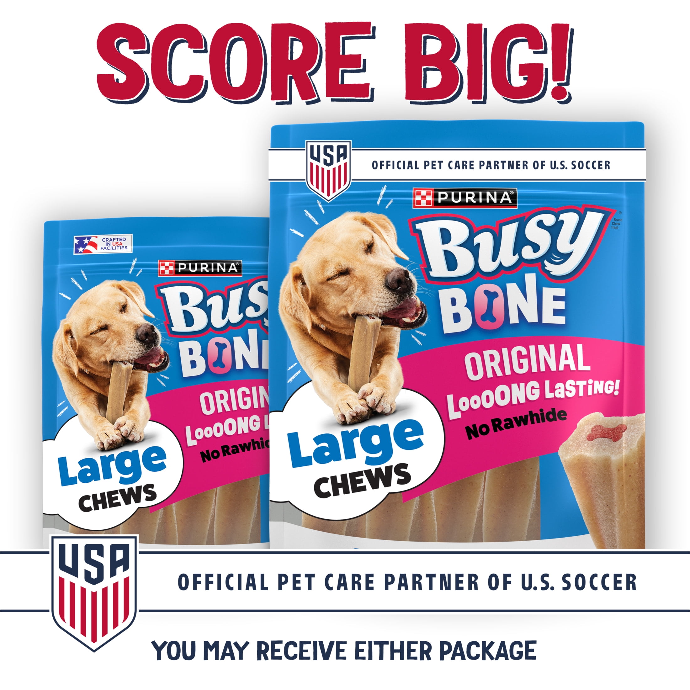 (4 pack) Purina Busy Bone Adult Dog Chew Bone Treats, Peanut Butter, 7 oz.