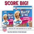 thumbnail image 5 of (3 pack) Purina Busy Bone Adult Dog Chew Bone Treats, Peanut Butter, 7 oz., 5 of 14