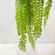 thumbnail image 3 of Simulación de Enredaderas Colgantes y Hierba Verde Enredaderas Falsas Plantas Colgantes Decoración de Pared de Jardín C, 3 of 5