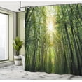 thumbnail image 5 of Ambesonne Forest Shower Curtain, Summer Trees Upward View, 69"Wx70"L, Fern Green and Yellow, 5 of 5