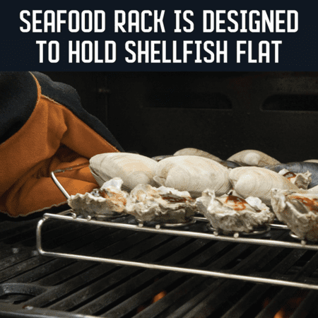 Steven Raichlen Stainless Seafood Rack, Silver