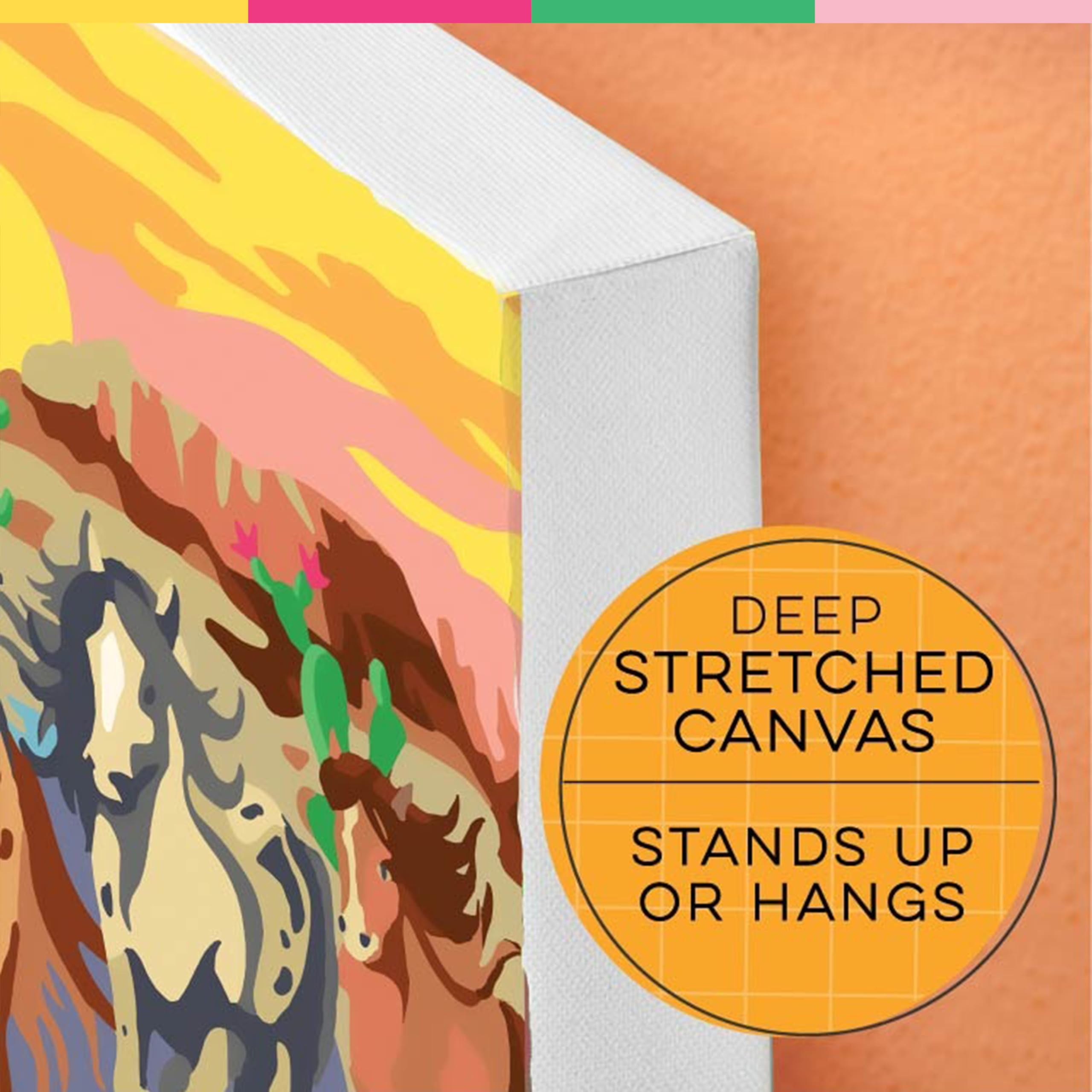 Bright Stripes iHeartArt Paint By Number Kit - Wild Horses