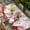 Pink Green, variant on Valentine's Gnomes Table Cloths for 6 Foot Rectangle Tables, Weeping Eucalyptus Pink Red Love Heart Vintage Patio Waterproof Elastic Fitted Tablecloths, Washable Rectangular Table Cover for Camping