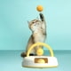 thumbnail image 5 of Juguete para gatos Yuyangstore Loop Track con campana Amarillo Tocadiscos cat teaser, 5 of 7