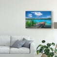 thumbnail image 3 of Trademark Fine Art 'Sunny Day Coastline' Canvas Art by Philippe Sainte-Laudy, 3 of 4